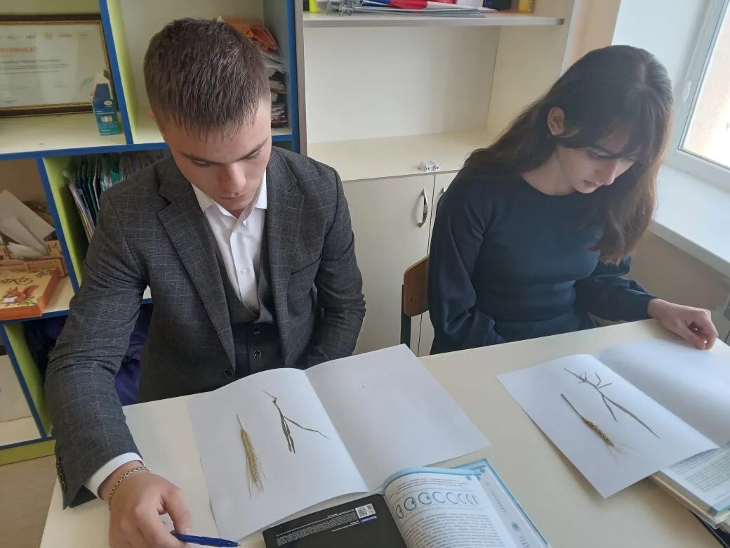 Открытый урок по биологии: путешествие в мир морфологических особенностей растений.