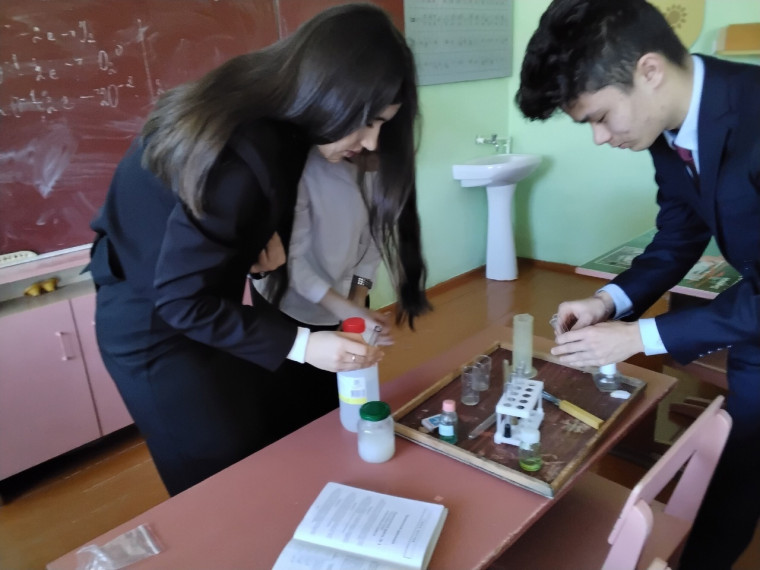 Точка роста. Открытый урок по химии в 11 классе.