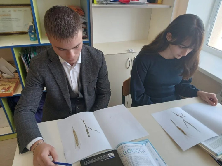 Открытый урок по биологии: путешествие в мир морфологических особенностей растений.